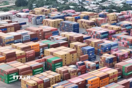Container hàng hoá ở cảng SOWATCO Long Bình, thành phố Thủ Đức. (Ảnh: Hồng Đạt/TTXVN)