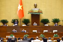 Phó chủ tịch Quốc hội Nguyễn Thị Hồng điều hành phiên họp. (Ảnh: Doãn Tấn/TTXVN)