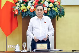 Chủ tịch Quốc hội Trần Thanh Mẫn, Trưởng Ban Chỉ đạo phát biểu. (Ảnh: Doãn Tấn/TTXVN)
