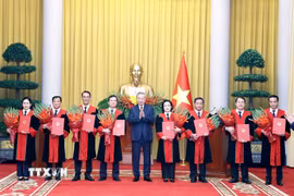 Tổng Bí thư, Chủ tịch nước Tô Lâm trao Quyết định bổ nhiệm chức danh Thẩm phán Toà án Nhân dân Tối cao cho các thẩm phán. (Ảnh: Thống Nhất/TTXVN)
