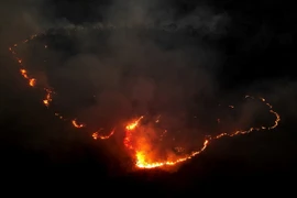 Khói lửa bốc lên từ đám cháy rừng tại Goias, Brazil. (Ảnh: THX/TTXVN)
