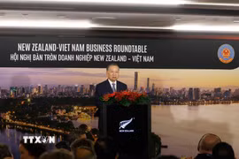 Tổng Bí thư, Chủ tịch nước Tô Lâm phát biểu tại Toạ đàm doanh nghiệp Việt Nam-New Zealand. (Ảnh: Thống Nhất/TTXVN)