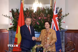 Sáng 13/8/2026 (giờ địa phương), tại thành phố Auckland, sau Lễ đón chính thức, Tổng Bí thư, Chủ tịch nước Tô Lâm hội đàm với Toàn quyền New Zealand Cindy Kiro. (Ảnh: Thống Nhất/TTXVN)
