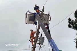 Những công nhân Đội Quản lý điện Đơn Dương miệt mài sửa chữa lưới điện, sớm đưa điện về phục vụ người dân sau trận lũ lịch sử. (Ảnh: PV/Vietnam+)