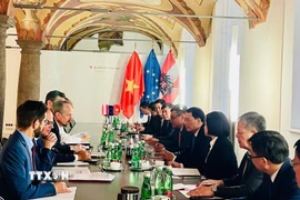 Thứ trưởng Lê Quốc Hùng và đoàn công tác làm việc với Bộ Nội vụ Áo tại thủ đô Vienna. (Nguồn: TTXVN phát)