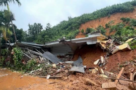 (Ảnh minh họa: Đinh Thùy/TTXVN)