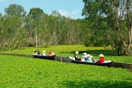 Khách du lịch tham quan rừng tràm Trà Sư, thị xã Tịnh Biên, An Giang. (Ảnh: Thanh Sang/TTXVN)