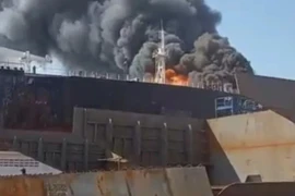 Ảnh minh họa. (Nguồn: Straitstimes)