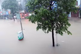 Các tuyến đường ở Thái Nguyên ngập sâu trong nước do cơn mưa kéo dài từ 19h ngày 20/6. (Ảnh: Trần Trang/TTXVN)