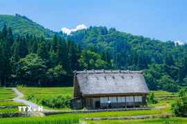 Shirakawago nằm ẩn mình trong không gian xanh mướt tại dãy núi Hida. (Ảnh: Xuân Giao/TTXVN)