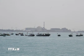 Tàu chiến của Lực lượng Vệ binh Cách mạng Hồi giáo Iran tại Vịnh Persian, gần Bushehr, Iran. (Nguồn: THX/TTXVN)