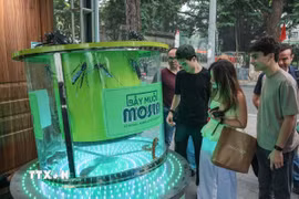 Du khách nước ngoài tham quan gian hàng tại triển lãm Techfest Việt Nam 2025 tại phố đi bộ Hồ Gươm. (Ảnh: Hoàng Hiếu/TTXVN)