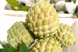 Na hay còn gọi là mãng cầu, quả tròn, to, nhiều hạt, khi chín cùi trắng, mềm và ngọt. Trong quả na có chứa chất vitamin C cao, vitamin B6 dồi dào, rất giàu magie và sắt. (Nguồn: Vietnam+)