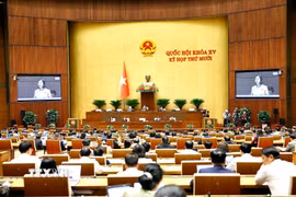 Sáng 12/11/2025, Quốc hội thảo luận ở hội trường về dự án Luật Thi hành án hình sự (sửa đổi). (Ảnh: Doãn Tấn/TTXVN)