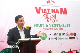 Ông Cao Xuân Thắng, Tham tán thương mại, Trưởng Cơ quan Thương vụ tại Singapore. (Ảnh: Tất Đạt/TTXVN)