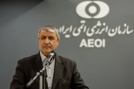 Người đứng đầu Tổ chức Năng lượng nguyên tử Iran Mohammad Eslami. (Ảnh: IRNA/TTXVN)