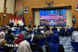 Quang cảnh hội thảo. (Ảnh: Đỗ Quyên/TTXVN)