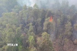 Hiện trường vụ cháy. (Nguồn: TTXVN phát)