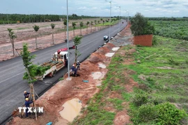 (Ảnh minh họa: Công Phong/TTXVN)