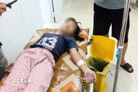 Bệnh nhân được chăm sóc tại bệnh viện. (Ảnh: TTXVN phát)