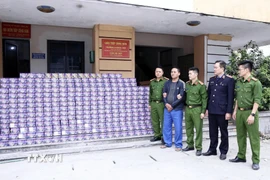 Đối tượng Trần Văn Trí và số tang vật bị cơ quan Công an thu giữ. (Ảnh: TTXVN phát)