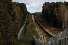 Khu vực biên giới Litva-Belarus. (Nguồn: Euronews)