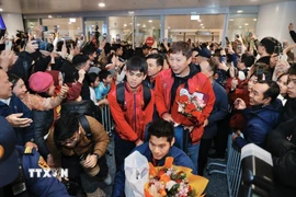 Người hâm mộ chào đón các cầu thủ U23 Việt Nam tại sân bay quốc tế Nội bài (Hà Nội). (Ảnh: Minh Quyết/TTXVN)