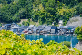 Nằm ở phía Bắc tỉnh Kyoto, bờ biển phía Tây Nhật Bản, làng chài Ine và Amanohashidate là nơi du khách có thể cảm nhận một Kyoto mộc mạc, yên bình và đậm chất truyền thống. Ảnh: Xuân Giao – PV TTXVN tại Nhật Bản
