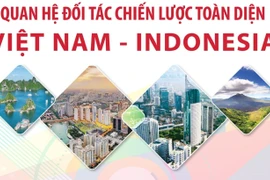 Quan hệ Đối tác Chiến lược Toàn diện Việt Nam-Indonesia