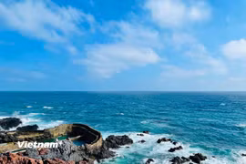 Phú Quý trở thành điểm đến hấp dẫn đối với những du khách yêu thích khám phá thiên nhiên và trải nghiệm cuộc sống biển đảo. (Nguồn: Vietnam+)