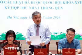 Phó Chủ nhiệm Văn phòng Chủ tịch nước Cấn Văn Tài chủ trì họp báo. (Ảnh: Tuấn Anh/TTXVN)