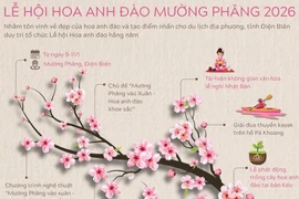 Lễ hội Hoa anh đào Mường Phăng 2026