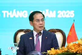 Phó Thủ tướng Bùi Thanh Sơn. (Ảnh: Quang Anh/TTXVN)