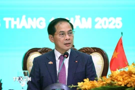 Phó Thủ tướng Bùi Thanh Sơn. (Ảnh: Quang Anh/TTXVN)