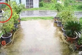 Hai nạn nhân (khoanh đỏ) và khu vực xảy ra sự cố thương tâm. (Ảnh: TTXVN phát)