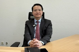 Giáo sư, Tiến sỹ Đặng Hoàng Linh, Tham tán Đại sứ quán Việt Nam tại Đức. (Ảnh: TTXVN phát)
