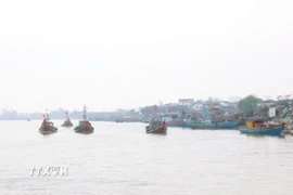 (Ảnh minh họa: Xuân Tiến/TTXVN)