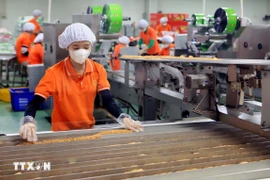 Kinh tế tư nhân được đặt nhiều kỳ vọng bứt phá và phát triển, đưa kinh tế đất nước vững mạnh bước vào kỷ nguyên mới. (Ảnh: Thế Duyệt/TTXVN)