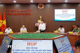 Phó Chủ tịch Ủy ban Nhân dân tỉnh Quảng Ngãi Đỗ Tâm Hiển phát biểu. (Ảnh: Lê Phước Ngọc/TTXVN)