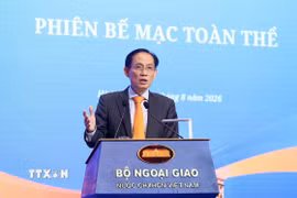 Đồng chí Lê Hoài Trung, Ủy viên Bộ Chính trị, Bộ trưởng Bộ Ngoại giao, phát biểu. (Ảnh: An Đăng/TTXVN)