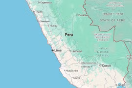 (Nguồn: Vietnam+)
