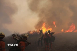 Khói lửa bốc lên từ đám cháy rừng tại California, Mỹ. (Nguồn: THX/TTXVN)