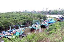 Rất nhiều tàu, thuyền vào tránh trú bão ở cầu Thạch Đồng, xã Thạch Khê. (Ảnh: Công Tường/TTXVN)