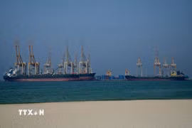 Cá tàu hàng tại cảng nước sâu thành phố Khor Fakkan thuộc Tiểu vương quốc Sharjah, nằm trên bờ biển phía đông của Các Tiểu vương quốc Arab Thống nhất (UAE), hướng ra vịnh Oman. (Ảnh: msn.com/TTXVN)