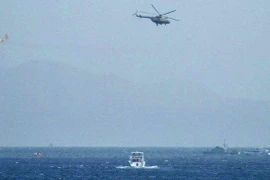 Ảnh minh họa. (Nguồn: Shiawaves)