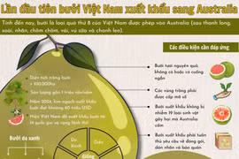 Lần đầu tiên bưởi Việt Nam xuất khẩu sang Australia