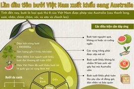 Lần đầu tiên bưởi Việt Nam xuất khẩu sang Australia