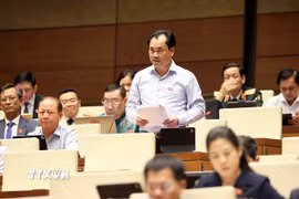 Bộ trưởng Bộ Nông nghiệp và Môi trưởng Trịnh Việt Hùng phát biểu giải trình, làm rõ một số vấn đề đại biểu Quốc hội nêu. (Ảnh: An Đăng/TTXVN)