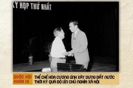 Quốc hội khóa IX: Thể chế hóa Cương lĩnh xây dựng đất nước thời kỳ quá độ lên chủ nghĩa xã hội