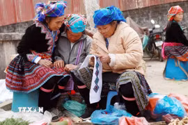 Hiện không khí lạnh đã ảnh hưởng đến Bắc Trung Bộ, hầu hết phía Tây Bắc Bộ và một số nơi ở Trung Trung Bộ. (Ảnh: Quý Trung/TTXVN)